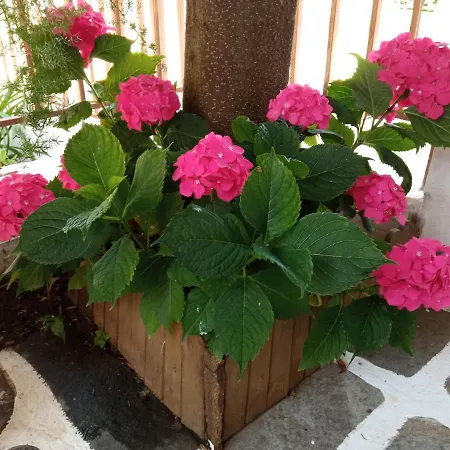 Lägenhet Marika House