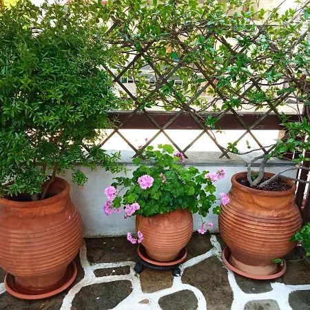 Marika House 斯塔夫罗斯