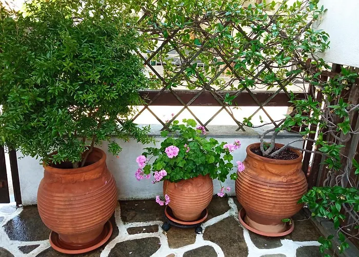 Marika House 斯塔夫罗斯