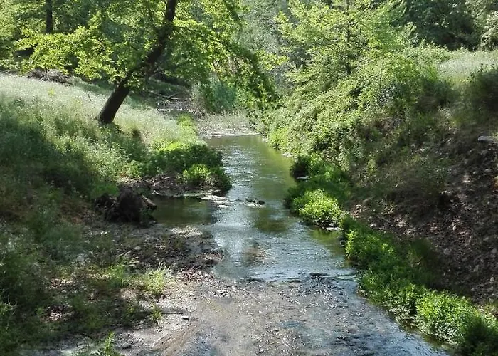 公寓 Marika House 斯塔夫罗斯